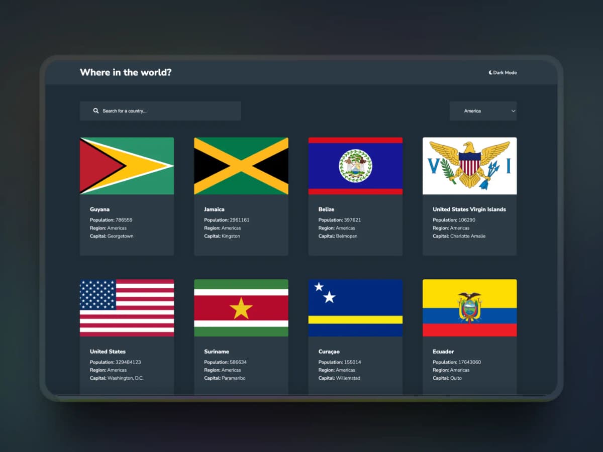Screenshot of Rest Country Display project